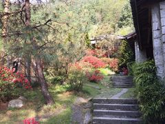 -苍山感通索道