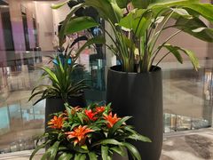 -菩泰·泰式草本按摩SPA(国大城市广场店)