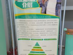 -能量小象·感统·专注力·语言(崂山校区)