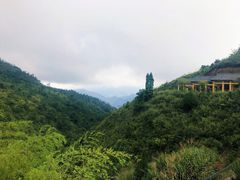 -军营村