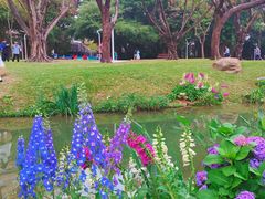 -人民公园(罗湖区)