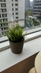 -苹果树儿童摄影工作室