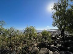 -上海吴淞炮台湾国家湿地公园