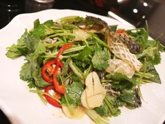 -草鱼先生潮州鱼生·虾生(新厦花园店)
