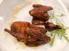香港沙田乳鸽-清水蘭軒