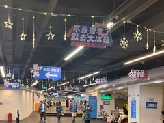 -世界之窗阿尔卑斯冰雪世界