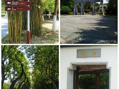 -武汉园博园(武汉自然博物馆)
