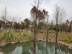-柳鹭田园区