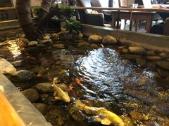 -山有花啡餐厅(常营总店)