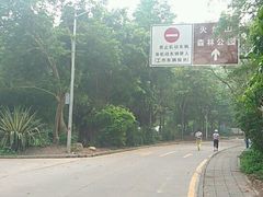 -火炉山森林公园