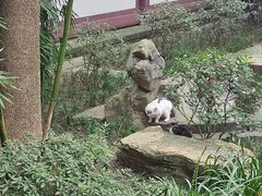 -成都杜甫草堂博物馆