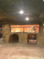 -酷嗒动物文化乐园(cutezoo西溪乐天城店)