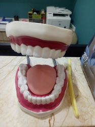 -睿宝儿科·眼科·口腔(静安大悦城门诊部)