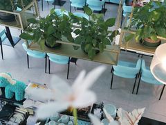 -拾挚扒房(招商花园城店)