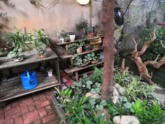 -宝翠花园餐厅(沙湖店)