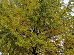 -苏州河梦清园环保主题公园