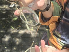 -乌鲁瓦图寺