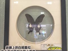 -深圳龙华星河COCO City(民治店)
