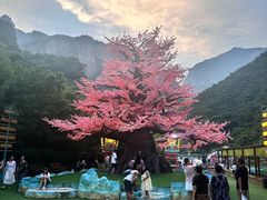 -河南宝泉旅游区