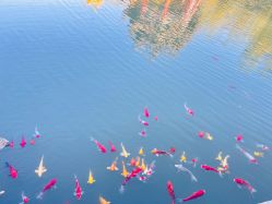 -北京郡王府饭店·宴会厅