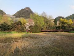 -贵阳市花溪国家城市湿地公园