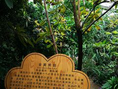 -呀路古热带植物园