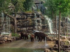 -北京野生动物园