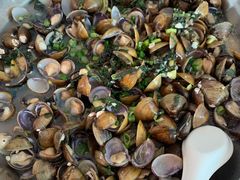 黄沙蚬-亚荣河鲜