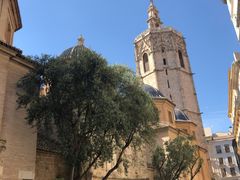 -瓦伦西亚大教堂