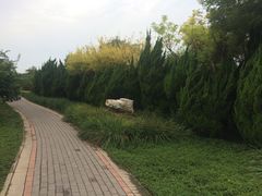 -大港湿地公园