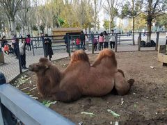 -长白岛森林公园