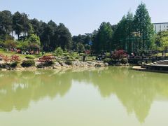 -铁山坪森林公园