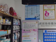 -伟伟宠物医院·瑞派猫友好医院·猫科(光谷店)