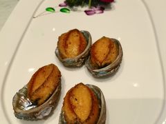 -大东海海鲜酒楼(渔人码头总店)