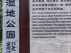-才村湿地公园