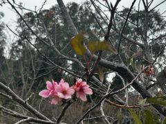 -小南山公园