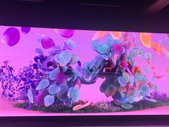 -现代汽车文化中心 Hyundai Motorstudio Beijing