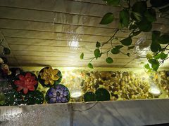 -同仁四季椰子鸡(福田东园总店)