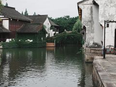 -鲁镇