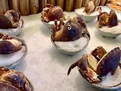 -阳光岛·海鲜盛宴(银泰中心in99店)