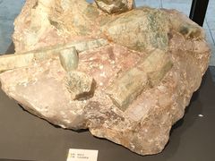 -浙江自然博物院(杭州馆)