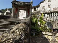 -雁南飞茶田景区
