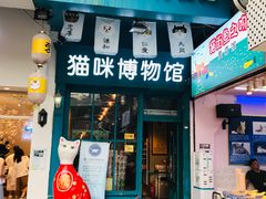 -猫咪博物馆(顶澳仔猫街店)