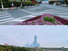 -八大关景区