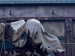 -哈尔滨融创乐园