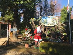 -河口湖八音盒之森美术馆