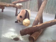 -荆州中山公园动物园