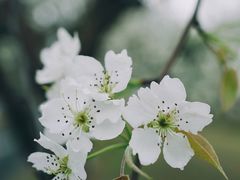 -国际非物质文化遗产博览园