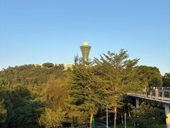-仙岳公园