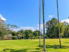 -中国科学院西双版纳热带植物园